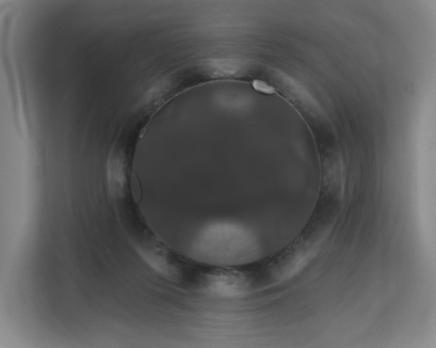 X0000110700215200906191534