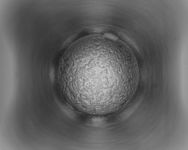 X0000110700216200906191534
