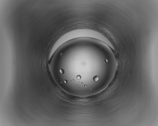 X0000110700217200906191534