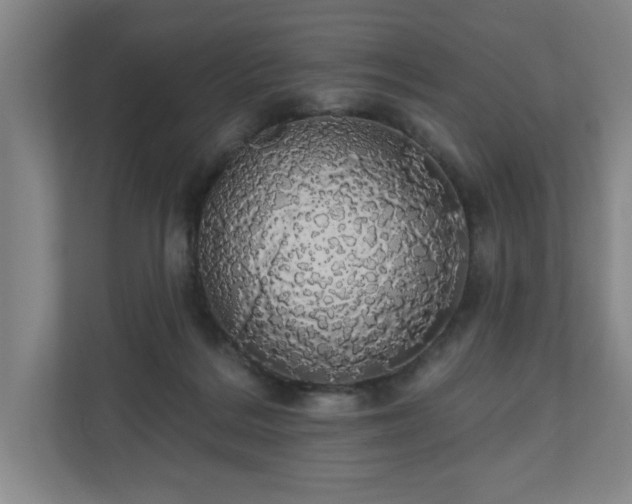 X0000110700220200906191534