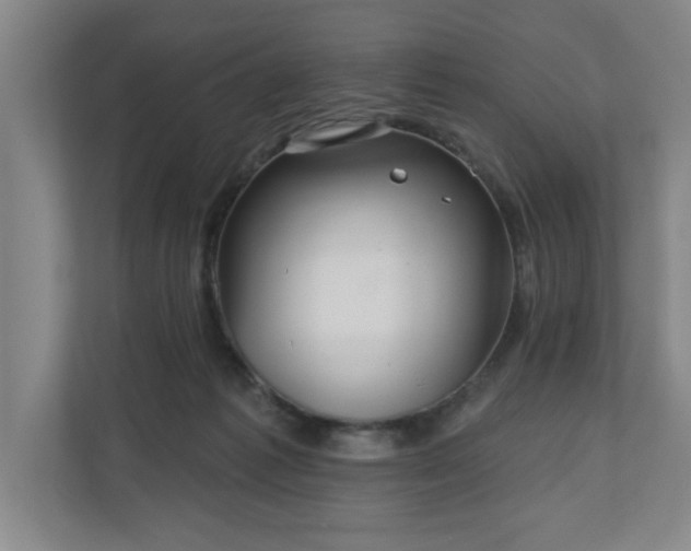 X0000110700221200906191534