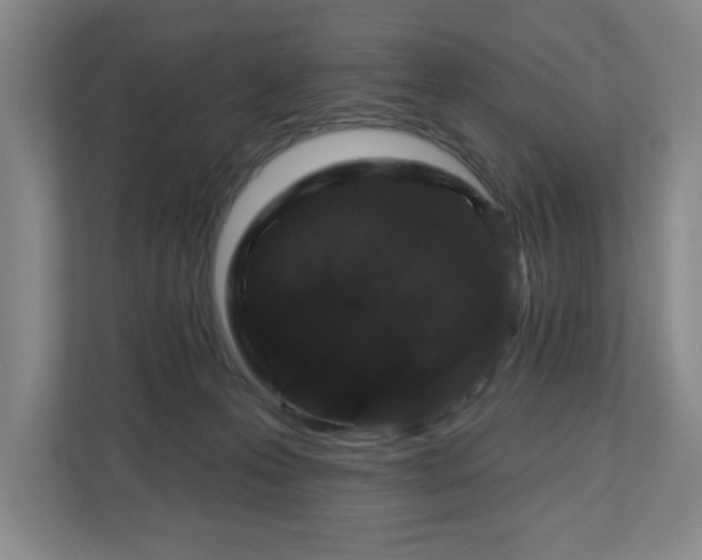 X0000110700223200906191534