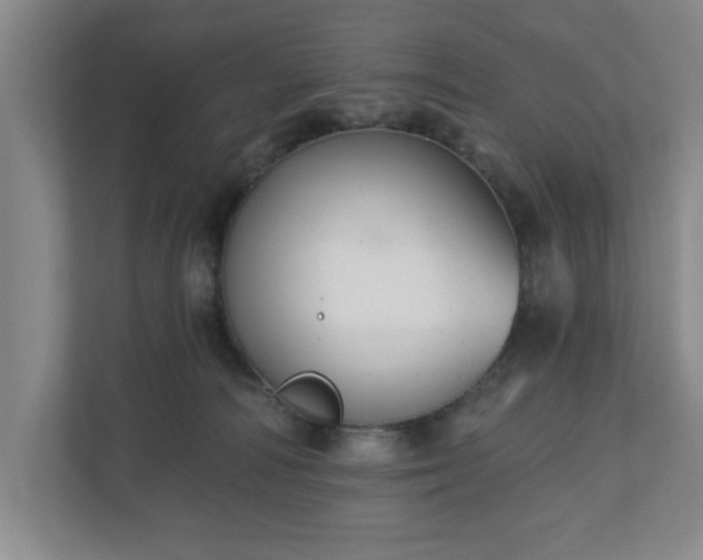 X0000110700226200906191534
