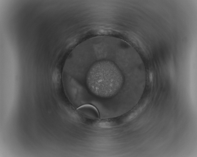 X0000110700228200906191534