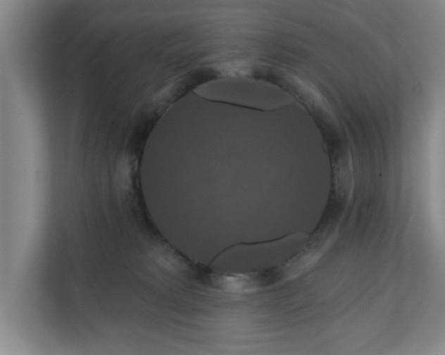 X0000110700229200906191534