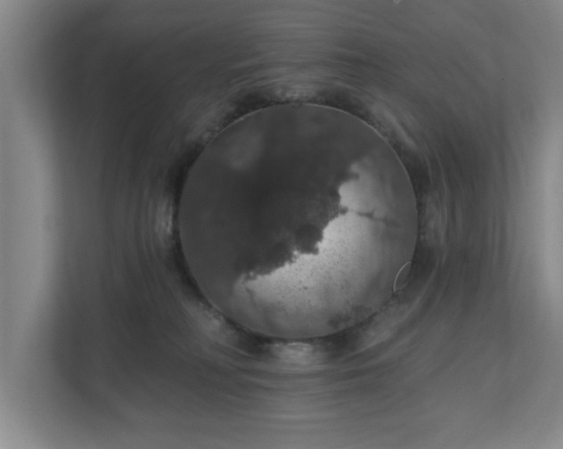 X0000110700230200906191534