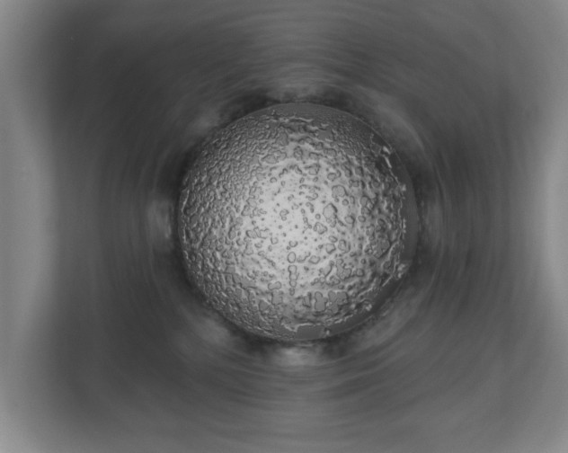 X0000110700232200906191534