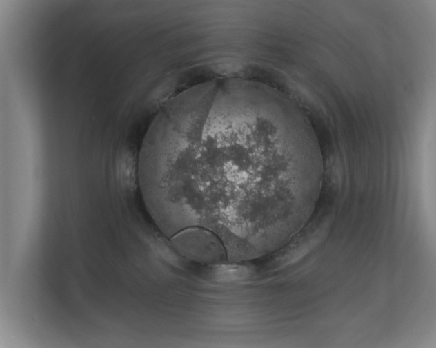 X0000110700234200906191534