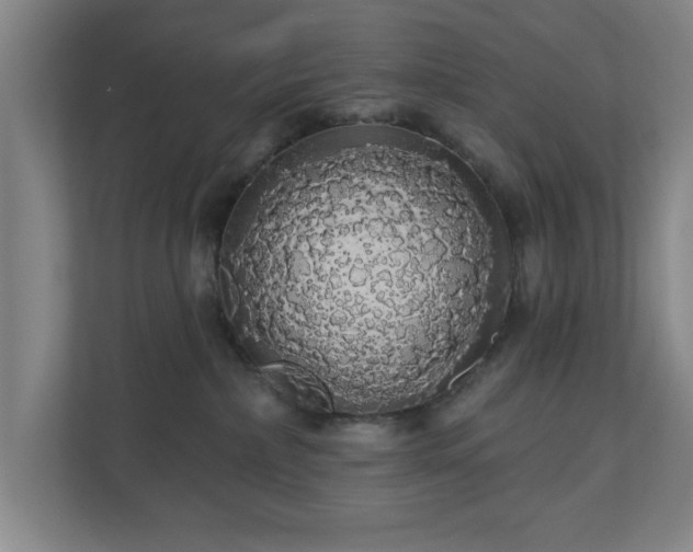 X0000110700236200906191534