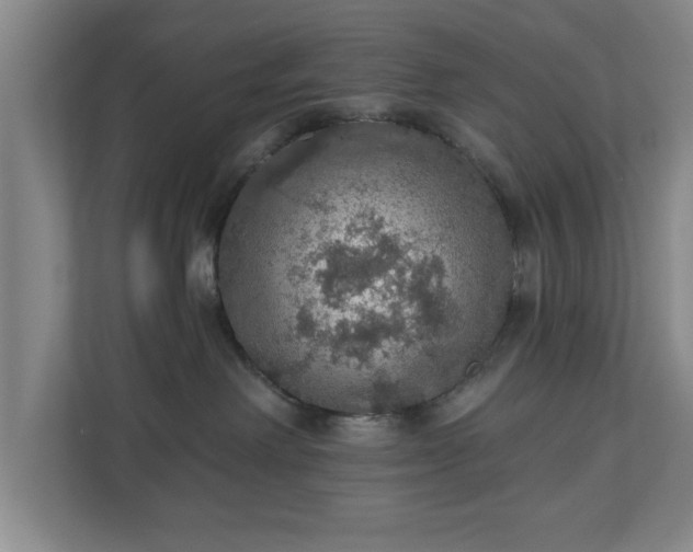 X0000110700238200906191534
