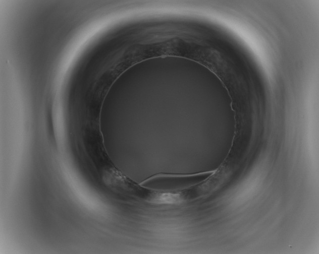 X0000110700239200906191533