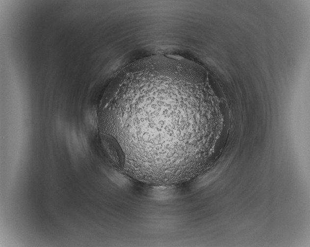 X0000110700240200906191533