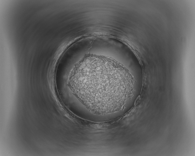 X0000110700241200906191533