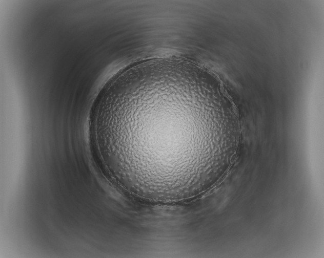 X0000110700242200906191533