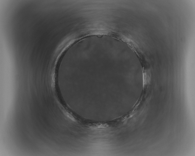 X0000110700243200906191533