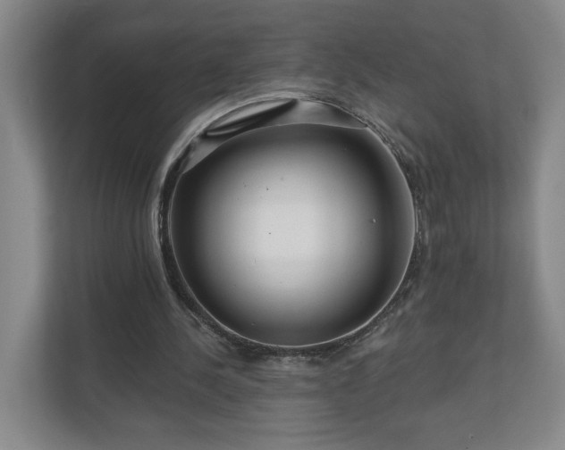 X0000110700244200906191533