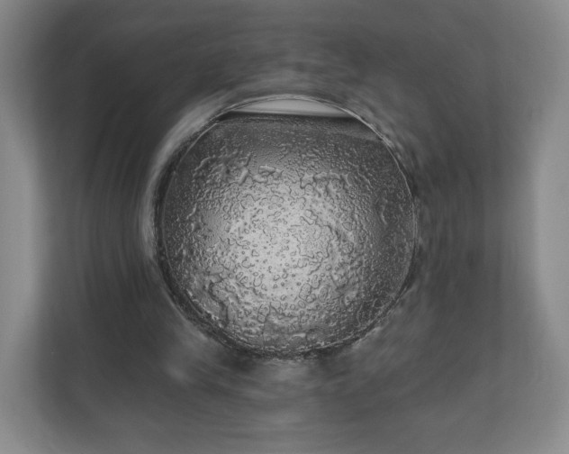 X0000110700245200906191533