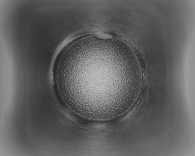 X0000110700246200906191533