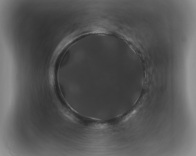 X0000110700247200906191533