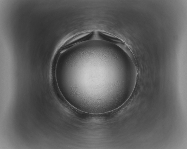 X0000110700248200906191533