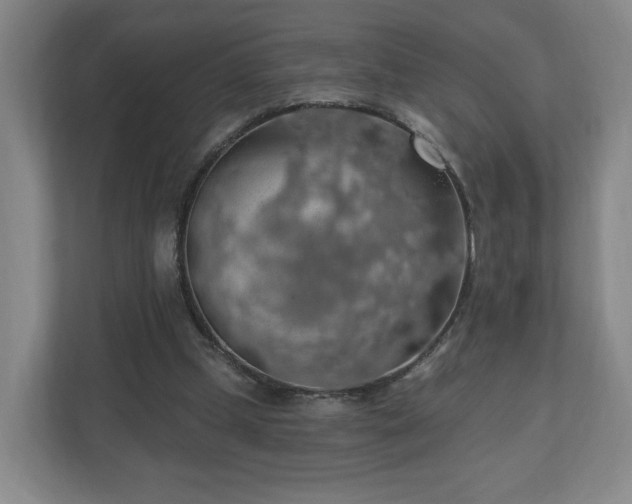 X0000110700249200906191533