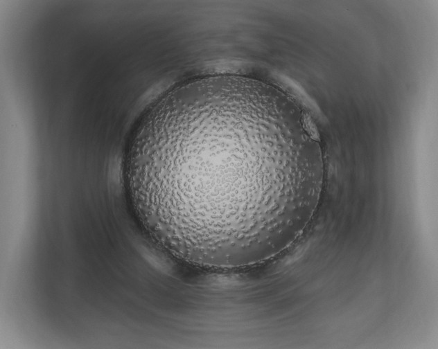 X0000110700250200906191533