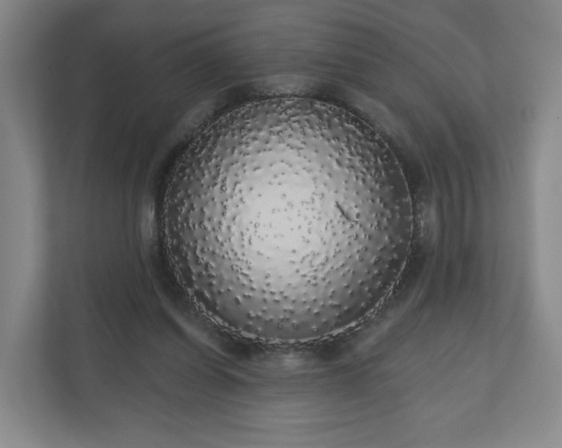 X0000110700254200906191533