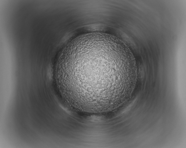 X0000110700255200906191533