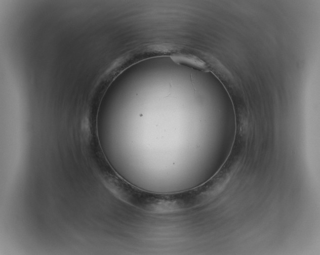 X0000110700256200906191533