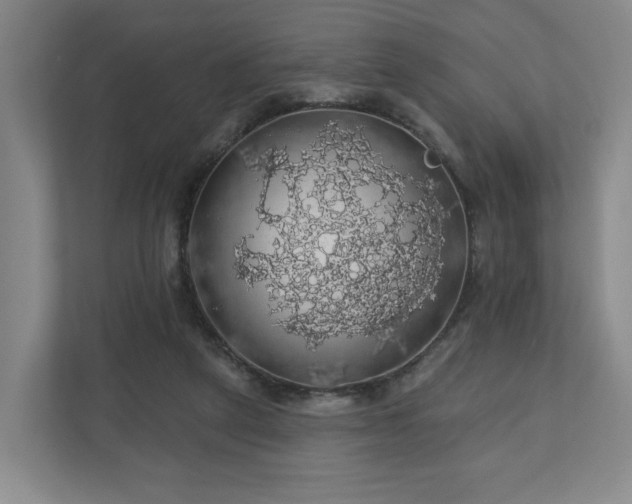 X0000110700257200906191533