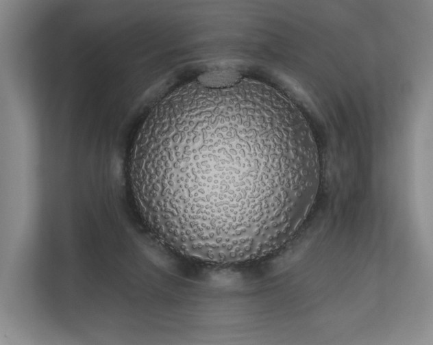 X0000110700258200906191533