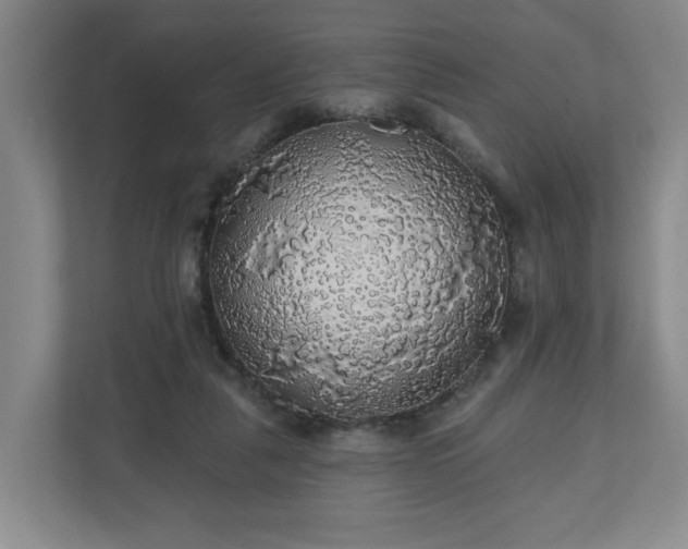 X0000110700259200906191533