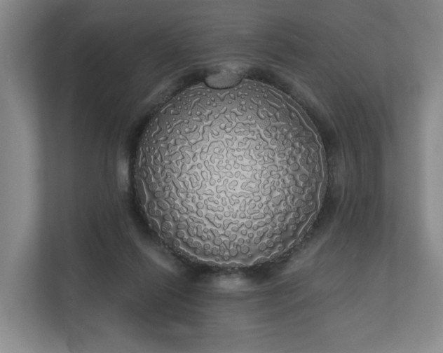 X0000110700262200906191533