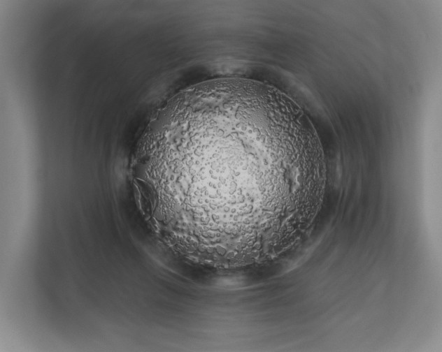 X0000110700263200906191533
