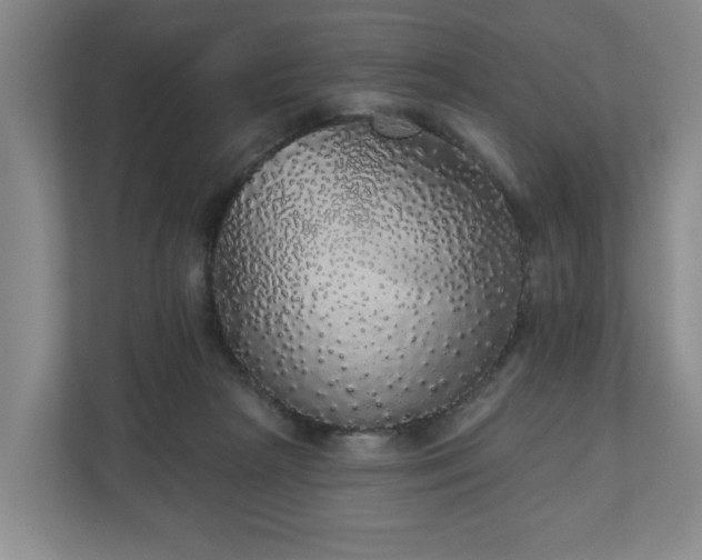 X0000110700265200906191533