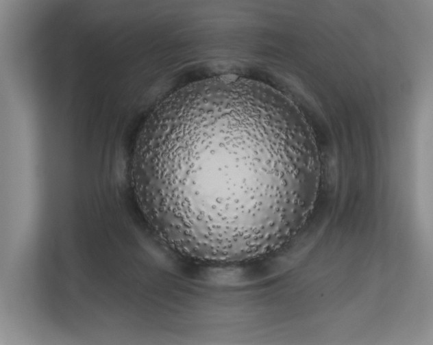X0000110700266200906191533