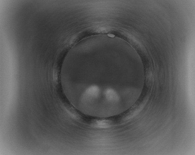 X0000110700268200906191533