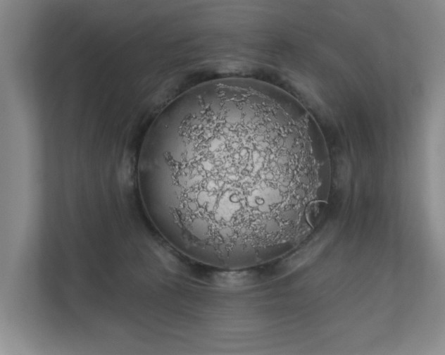 X0000110700273200906191533