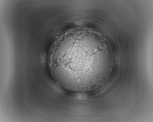 X0000110700275200906191533