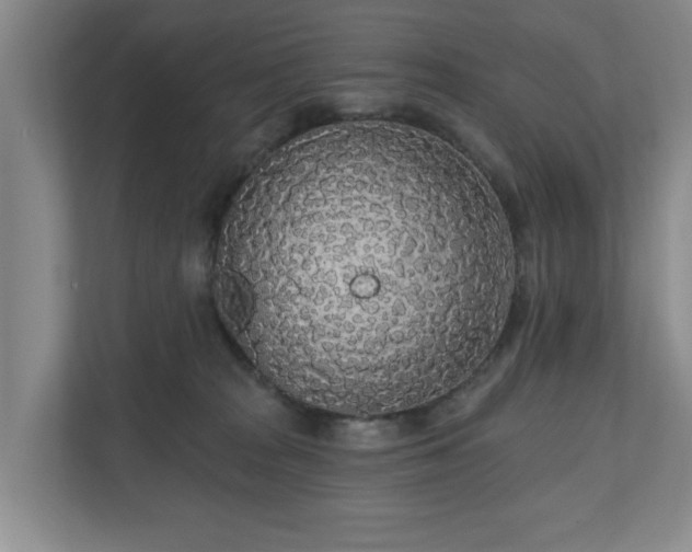 X0000110700277200906191533