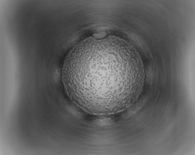 X0000110700278200906191533