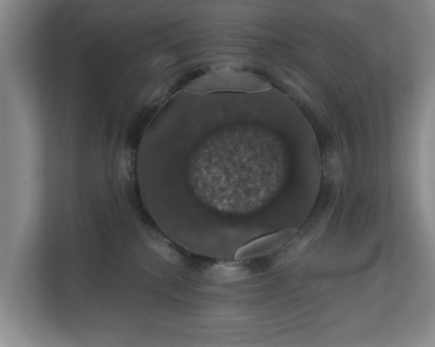 X0000110700280200906191533