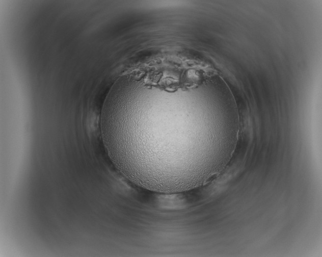 X0000110700281200906191533