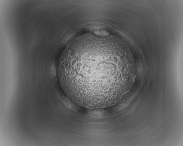 X0000110700282200906191533