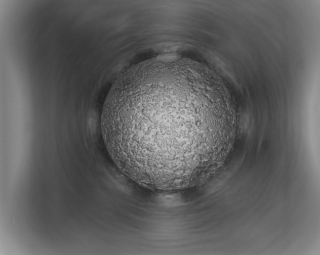 X0000110700283200906191533