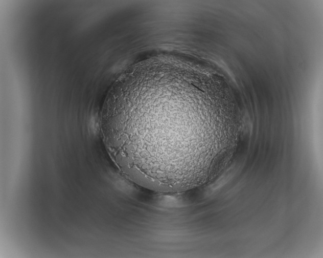 X0000110700285200906191533
