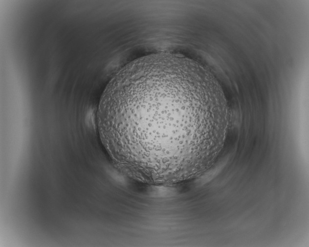 X0000110700286200906191533