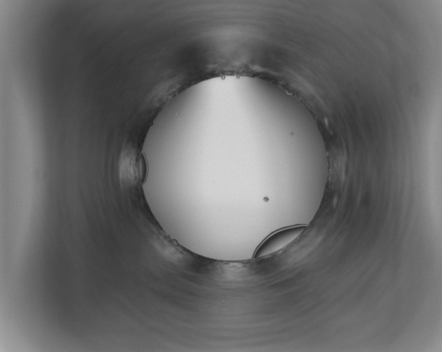 X0000110700287200906191533