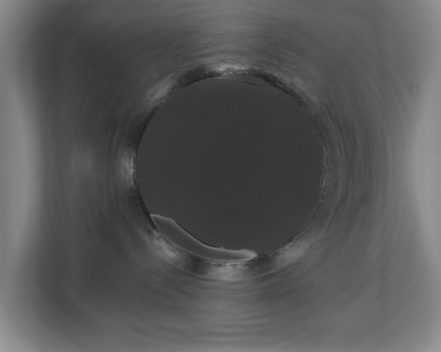 X0000110700288200906191533