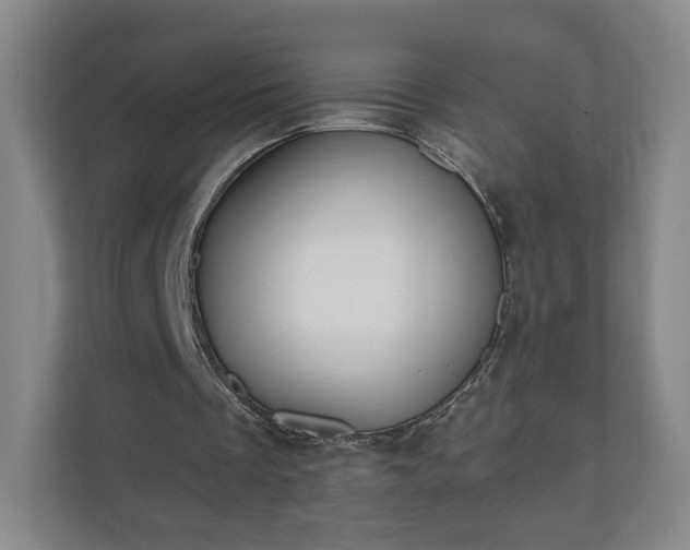 X0000110700289200906191533